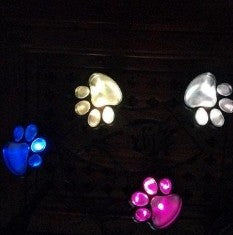 Creative Vault Marketplace solar-powered bear paw garden lights glowing in blue, white, warm, and multicolor tones.