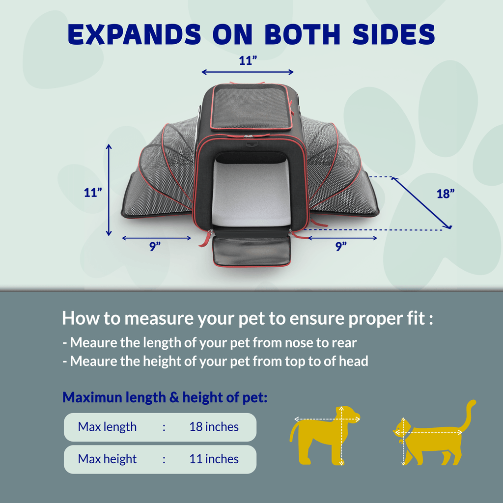 Rolling Rover Airline Compliant Expandable Wheeled Pet Carrier by Katziela