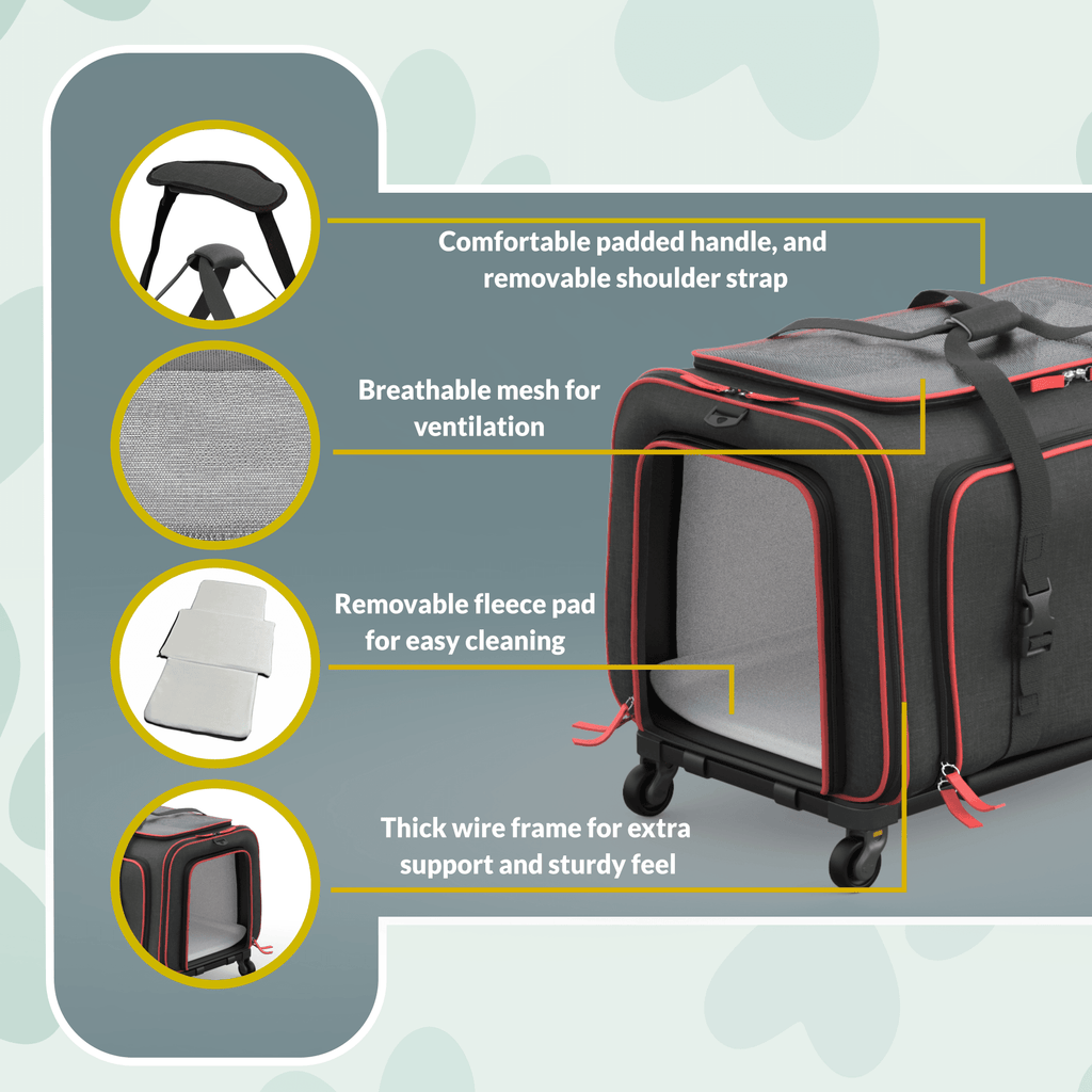 Rolling Rover Airline Compliant Expandable Wheeled Pet Carrier by Katziela