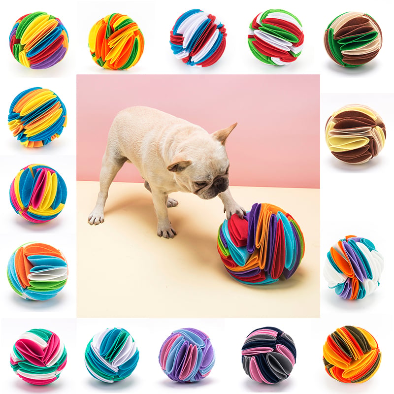 French bulldog playing with a colorful, felt fabric snuffle ball, surrounded by various multi-colored pet puzzle balls.