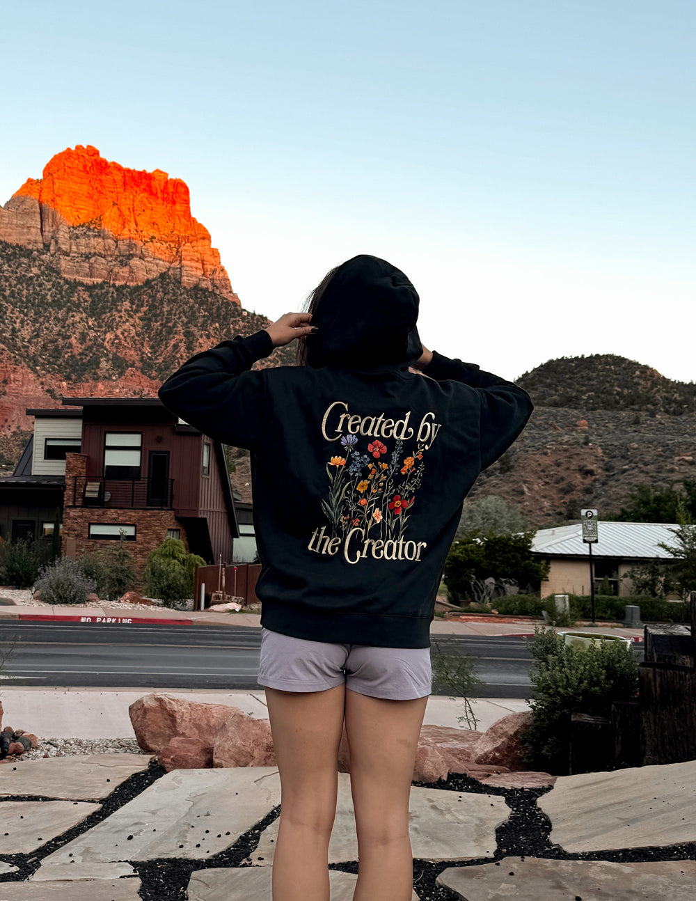 Unisex Hoodie With Colossians 1 16 Bible Verse Created By The Creator Black by Elevated Faith