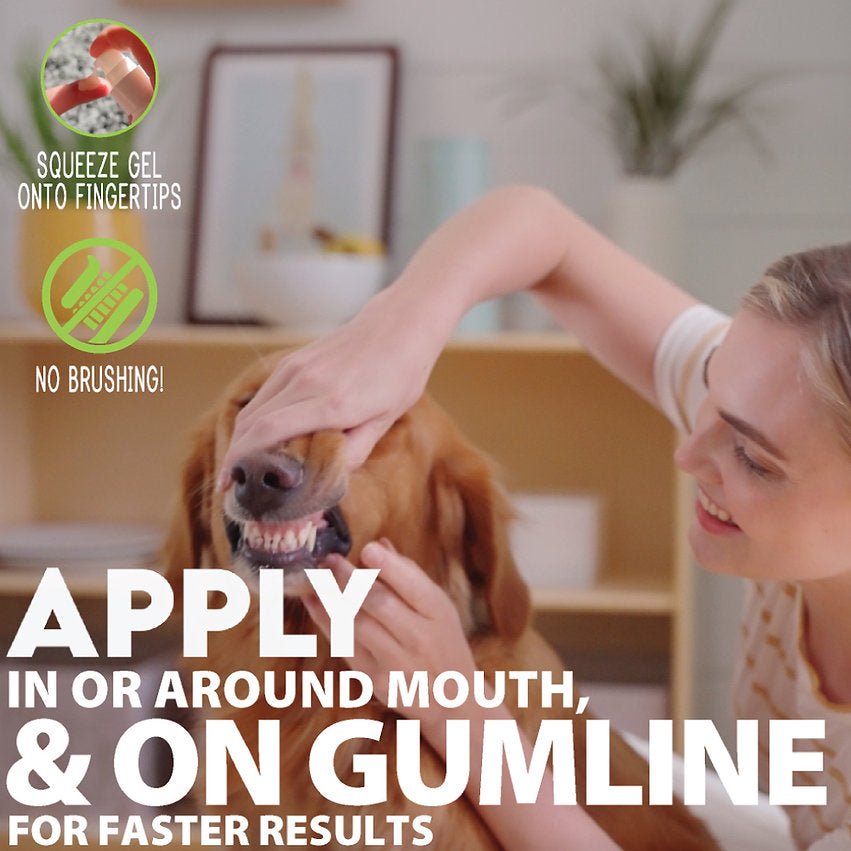 Oral Care Gel - Peppermint by Adore Pet