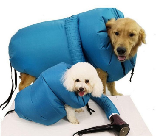 Golden Retriever and Bichon Frise wearing blue, tubular pet grooming dryer bags connected to a handheld hair dryer.