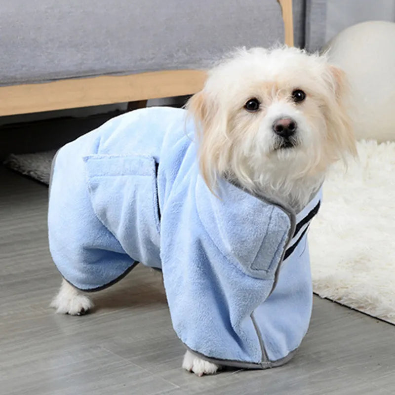 Small white dog wearing a light blue, plush quick-dry bathrobe with gray trim, standing indoors on a wooden floor.