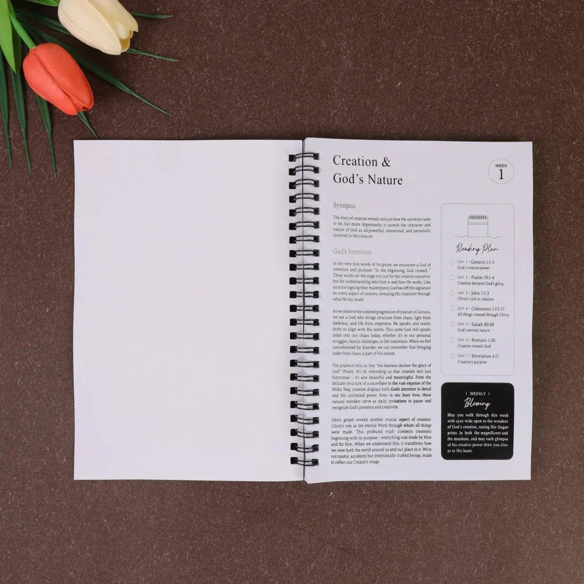 The 365 Day Bible Study Workbook For Women: A Year of Empowering, Strengthen Your Spirit,Build Your Relationship with God by Creative Vault Marketplace