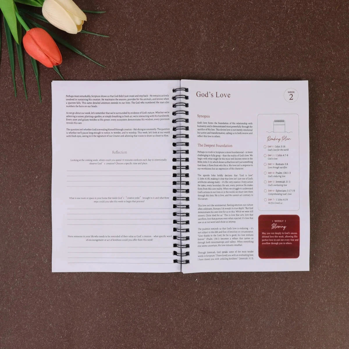 The 365 Day Bible Study Workbook For Women: A Year of Empowering, Strengthen Your Spirit,Build Your Relationship with God by Creative Vault Marketplace