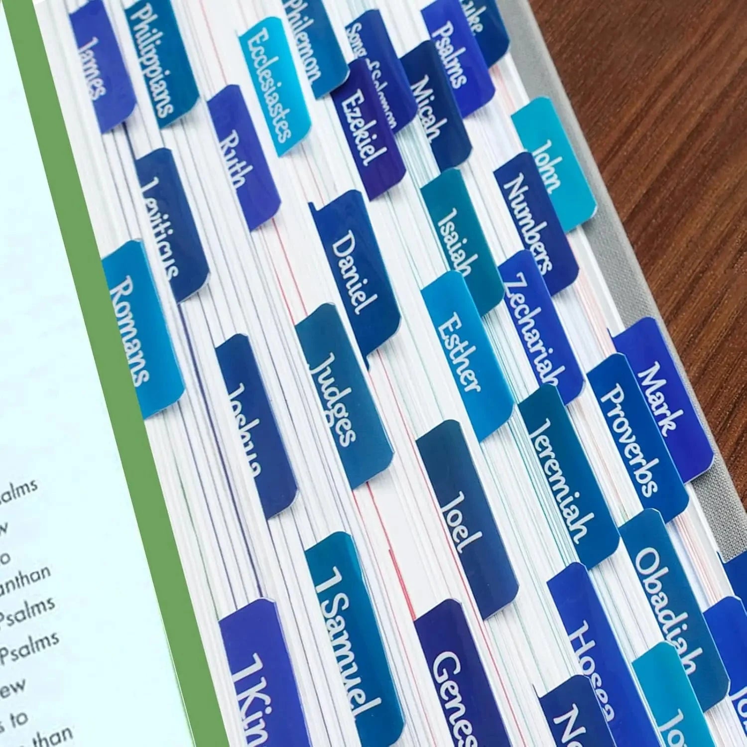 Bible Tabs for Women and Men Easy to Remove & Read Bible Book Tabs for Study Bible Index Tabs for Old and New Testament Bible by Creative Vault Marketplace