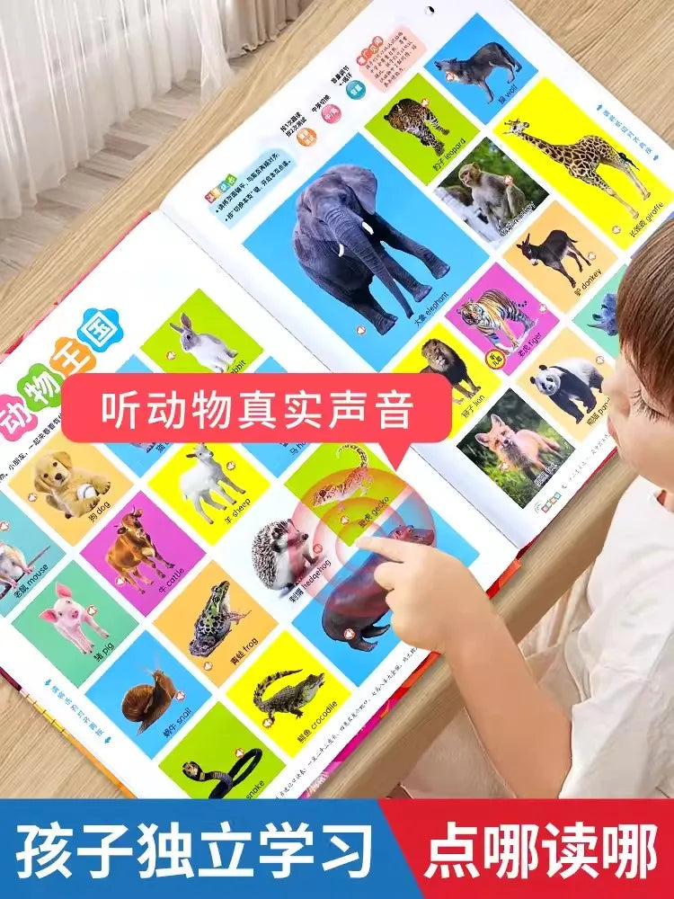 Children's Early Education Audio Book, Infant Enlightenment Cognition, Bilingual in Chinese and English Children's Pinyin by Creative Vault Marketplace
