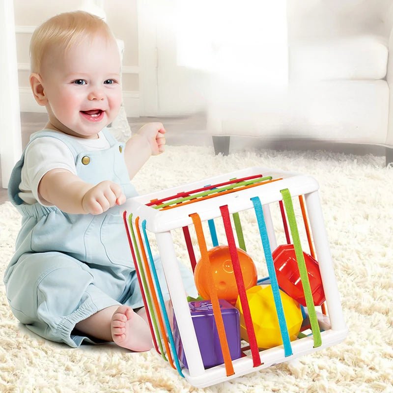 Montessori Toys Children 0-12 Months Early Education Rainbow Cesare Enlightening and Grasping Sensory Training Baby Toys Plastic by Creative Vault Marketplace