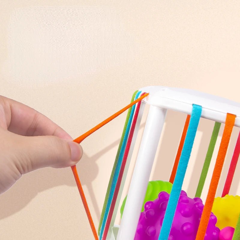 Montessori Toys Children 0-12 Months Early Education Rainbow Cesare Enlightening and Grasping Sensory Training Baby Toys Plastic by Creative Vault Marketplace