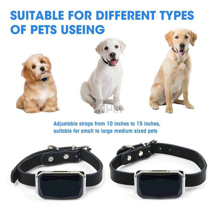 GPS Pet Tracking Locator | Real-Time Location for Cats & Dogs by FLIPSTYLEZLLC