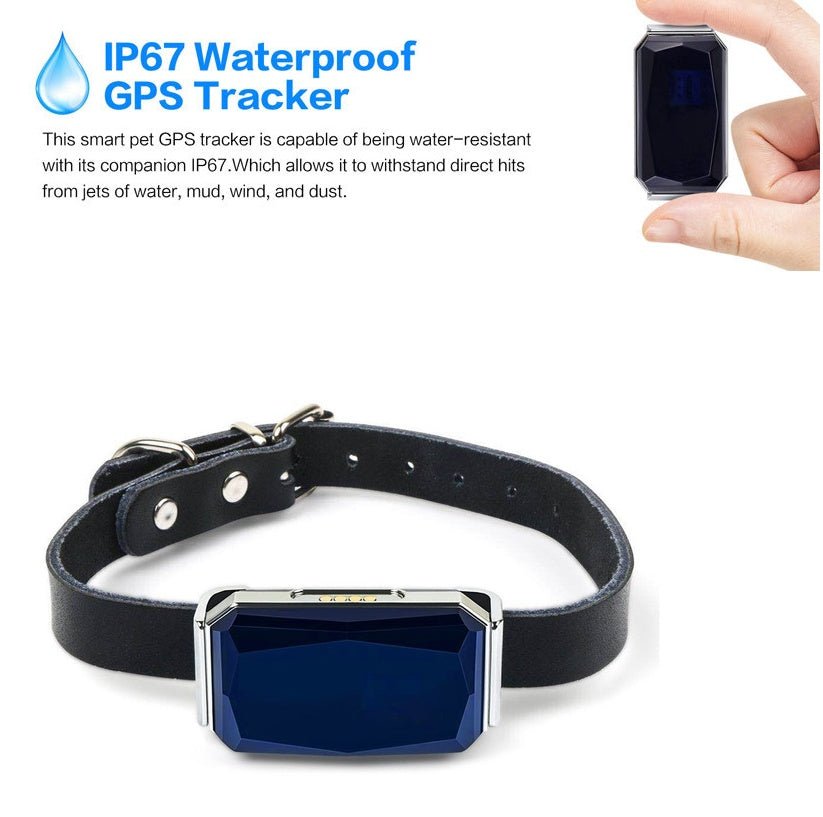 GPS Pet Tracking Locator | Real-Time Location for Cats & Dogs by FLIPSTYLEZLLC