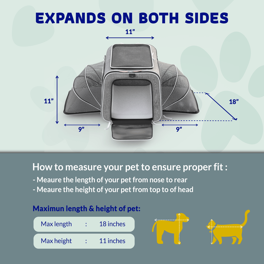 Rolling Rover Airline Compliant Expandable Wheeled Pet Carrier by Katziela