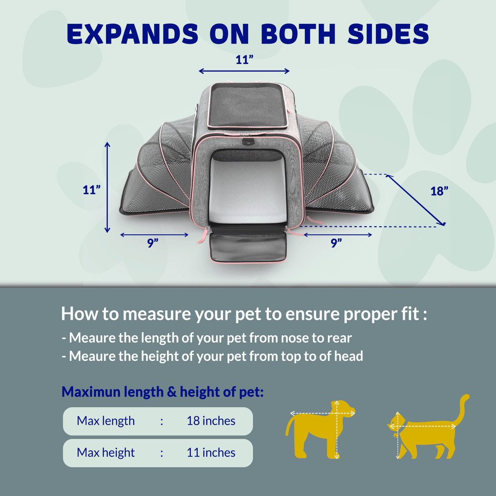 Rolling Rover Airline Compliant Expandable Wheeled Pet Carrier by Katziela
