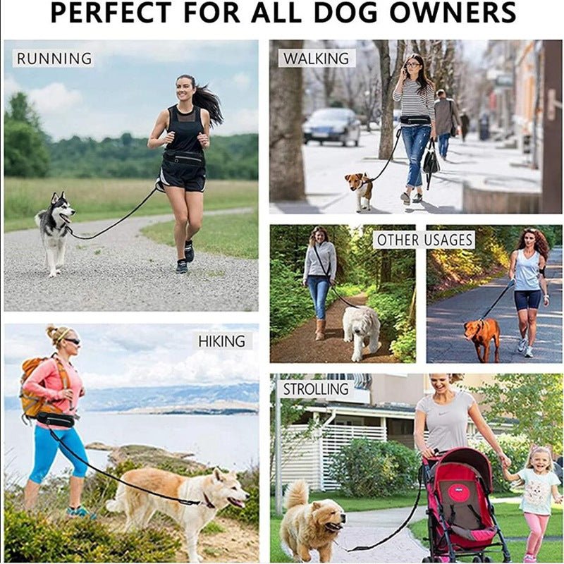 Hands Free Dog Leash Pet Walking And Training Belt With Shock Absorbing Bungee Leash For Up To 180lbs Large Dogs Phone Pocket And Water Bottle Holder by Pet Zen