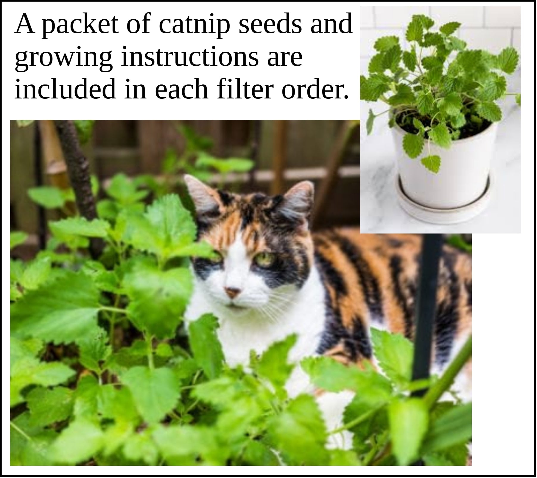 Litter Box Air Purifier by Purrified Air